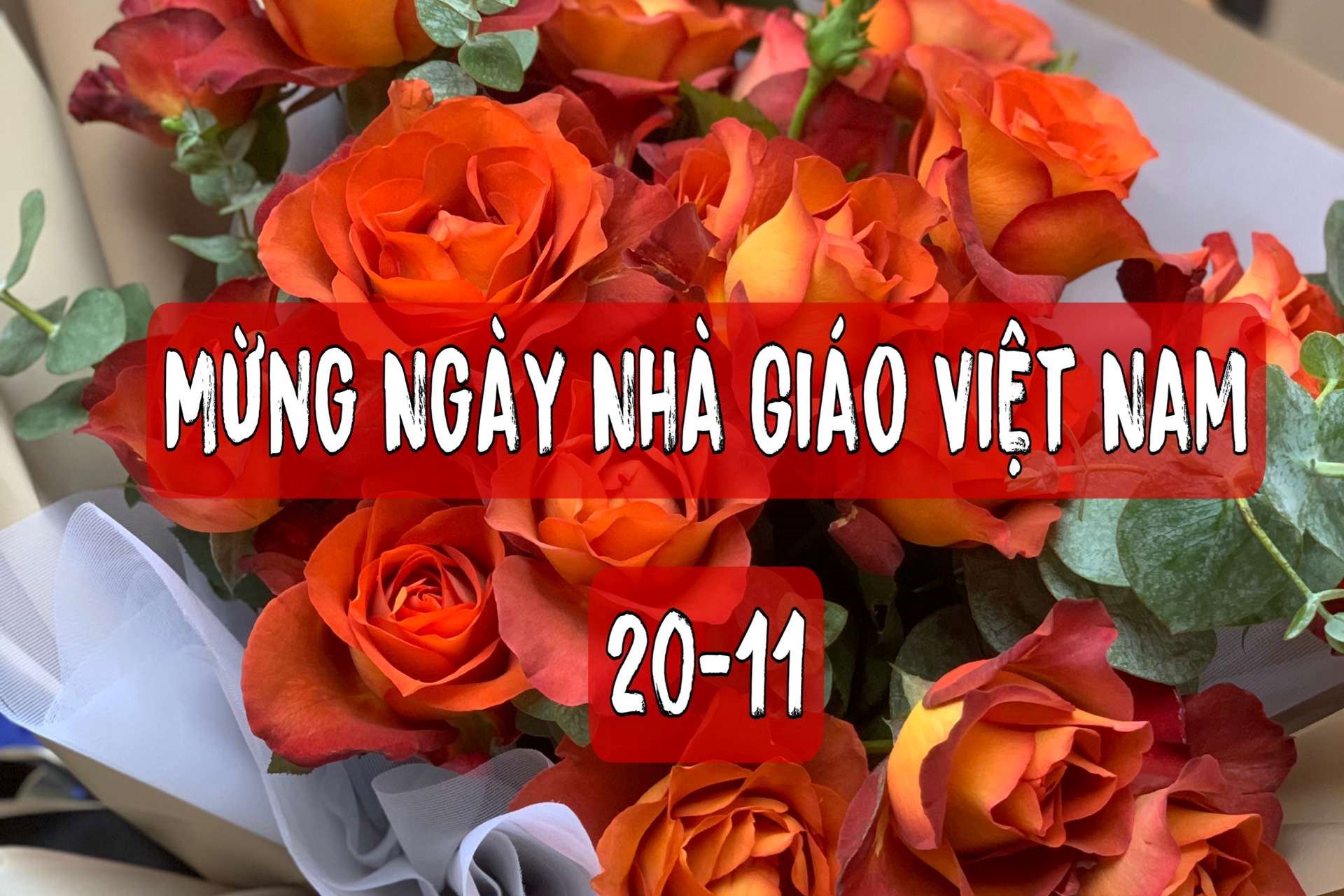 Gợi ý những món quà tặng giáo viên dịp 20/11